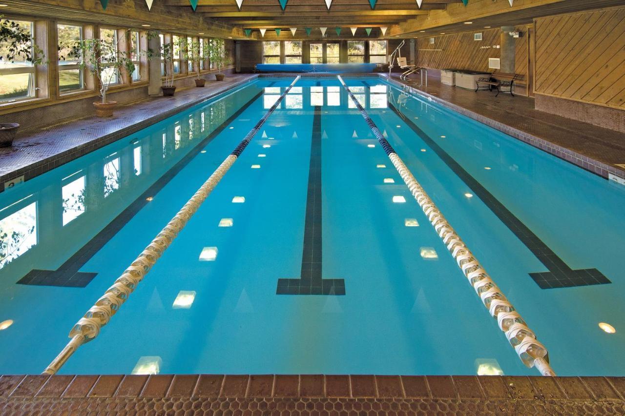 Woodlands #25